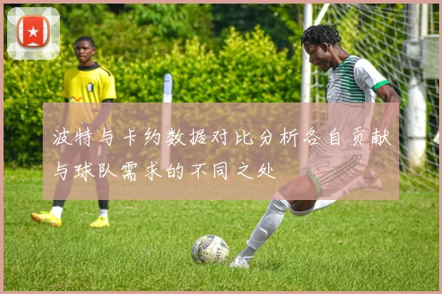 波特与卡约数据对比分析各自贡献与球队需求的不同之处